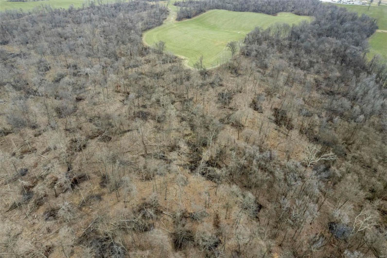 0 County Road 206/Highway 74, Cape Girardeau, Missouri 63701, ,Farm,For Sale,County Road 206/Highway 74,MAR25006058