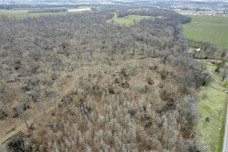 0 County Road 206/Highway 74, Cape Girardeau, Missouri 63701, ,Farm,For Sale,County Road 206/Highway 74,MAR25006058