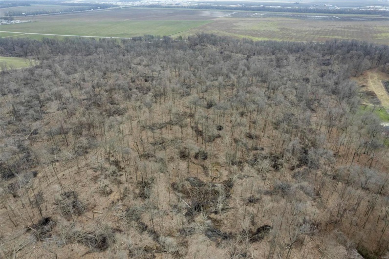 0 County Road 206/Highway 74, Cape Girardeau, Missouri 63701, ,Farm,For Sale,County Road 206/Highway 74,MAR25006058