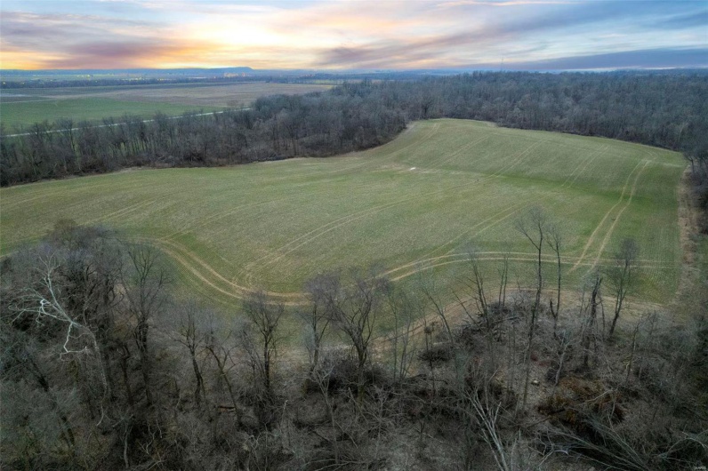 0 County Road 206/Highway 74, Cape Girardeau, Missouri 63701, ,Farm,For Sale,County Road 206/Highway 74,MAR25006058