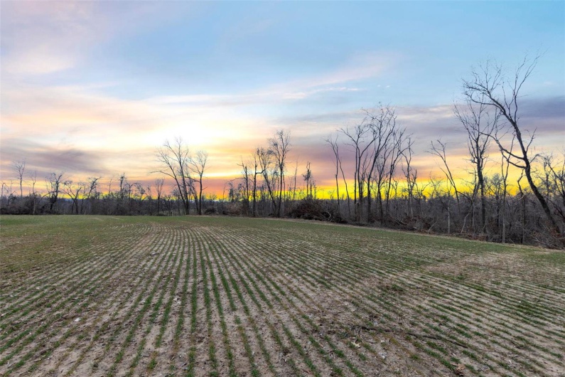0 County Road 206/Highway 74, Cape Girardeau, Missouri 63701, ,Farm,For Sale,County Road 206/Highway 74,MAR25006058