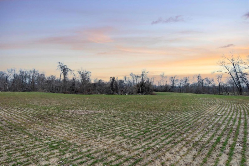 0 County Road 206/Highway 74, Cape Girardeau, Missouri 63701, ,Farm,For Sale,County Road 206/Highway 74,MAR25006058