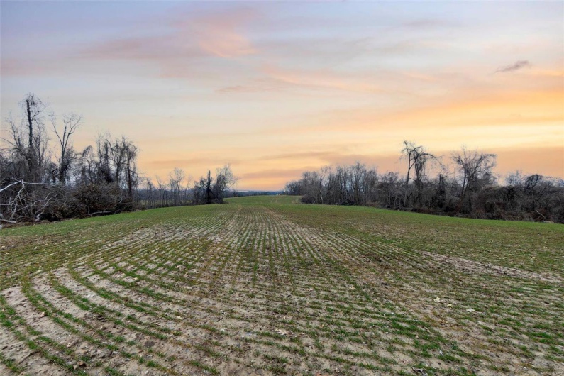 0 County Road 206/Highway 74, Cape Girardeau, Missouri 63701, ,Farm,For Sale,County Road 206/Highway 74,MAR25006058