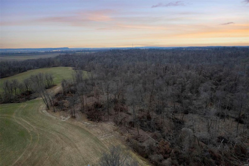 0 County Road 206/Highway 74, Cape Girardeau, Missouri 63701, ,Farm,For Sale,County Road 206/Highway 74,MAR25006058