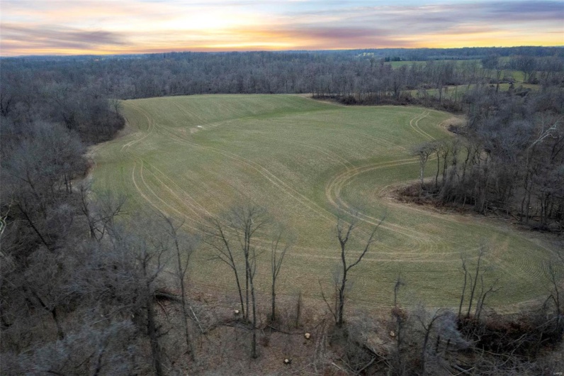 0 County Road 206/Highway 74, Cape Girardeau, Missouri 63701, ,Farm,For Sale,County Road 206/Highway 74,MAR25006058