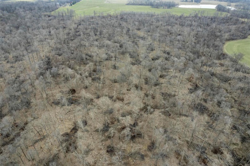 0 County Road 206/Highway 74, Cape Girardeau, Missouri 63701, ,Farm,For Sale,County Road 206/Highway 74,MAR25006058