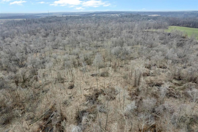 0 County Road 206/Highway 74, Cape Girardeau, Missouri 63701, ,Farm,For Sale,County Road 206/Highway 74,MAR25006058
