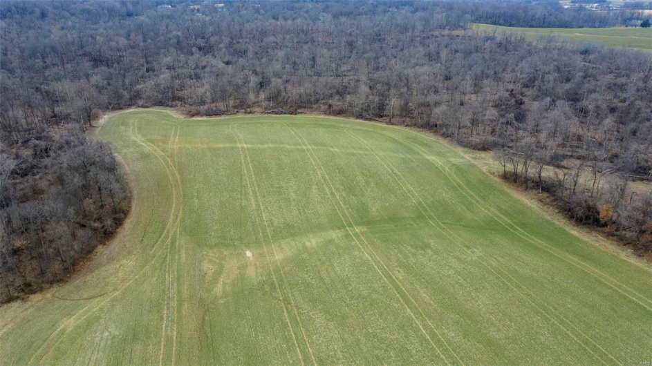0 County Road 206/Highway 74, Cape Girardeau, Missouri 63701, ,Farm,For Sale,County Road 206/Highway 74,MAR25006058