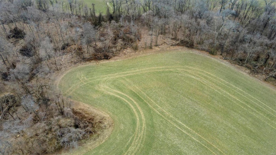 0 County Road 206/Highway 74, Cape Girardeau, Missouri 63701, ,Farm,For Sale,County Road 206/Highway 74,MAR25006058