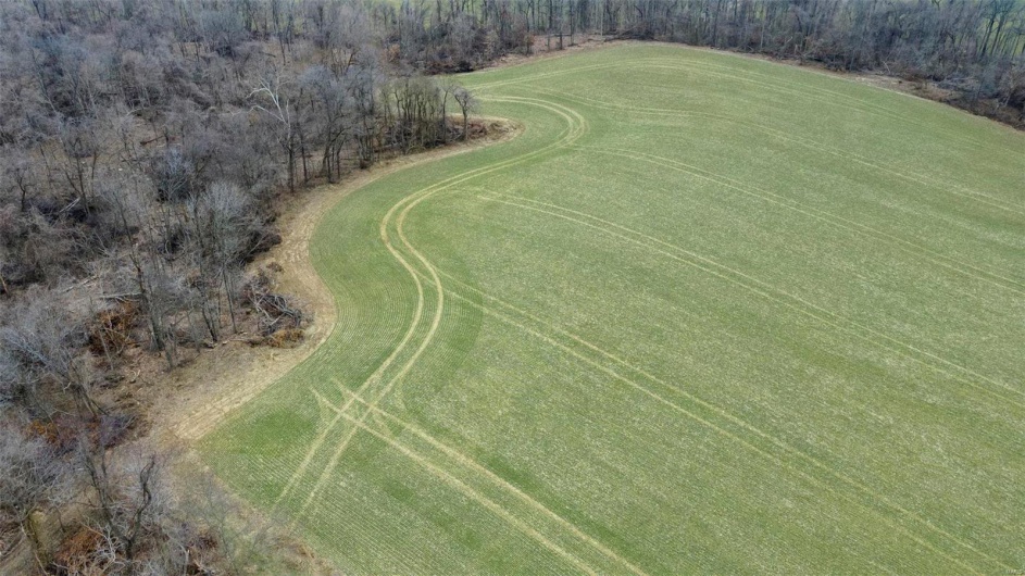 0 County Road 206/Highway 74, Cape Girardeau, Missouri 63701, ,Farm,For Sale,County Road 206/Highway 74,MAR25006058