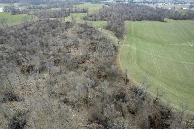 0 County Road 206/Highway 74, Cape Girardeau, Missouri 63701, ,Farm,For Sale,County Road 206/Highway 74,MAR25006058
