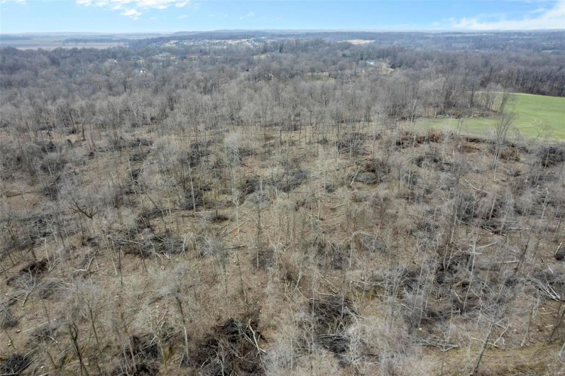 0 County Road 206/Highway 74, Cape Girardeau, Missouri 63701, ,Farm,For Sale,County Road 206/Highway 74,MAR25006058