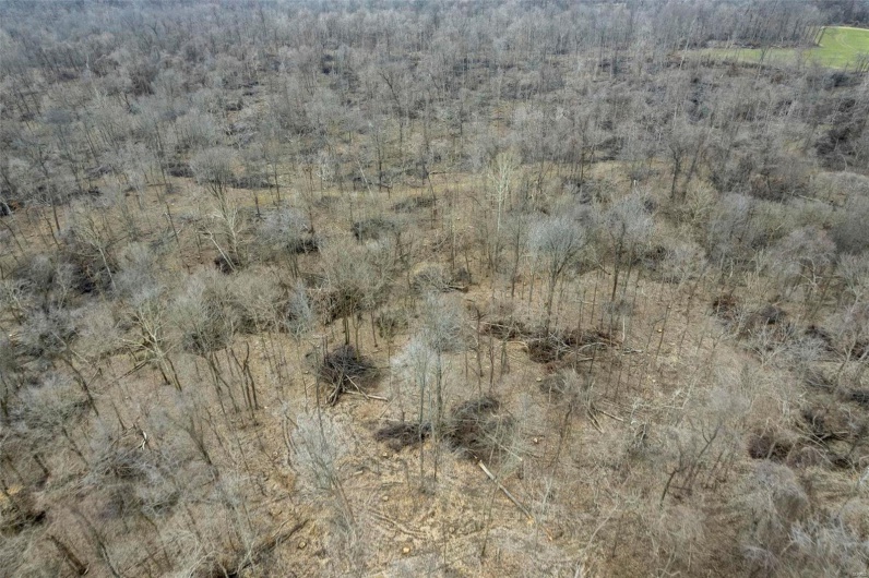 0 County Road 206/Highway 74, Cape Girardeau, Missouri 63701, ,Farm,For Sale,County Road 206/Highway 74,MAR25006058