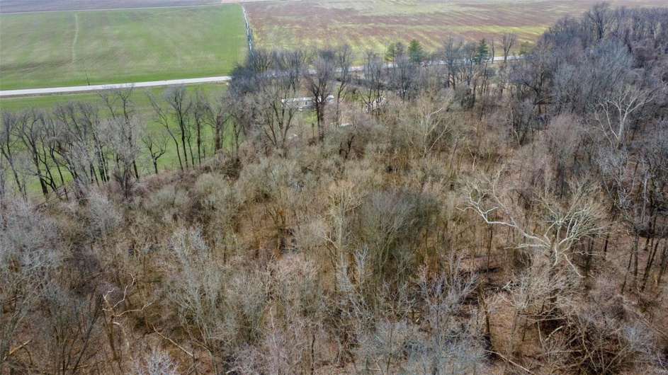 0 County Road 206/Highway 74, Cape Girardeau, Missouri 63701, ,Farm,For Sale,County Road 206/Highway 74,MAR25006058