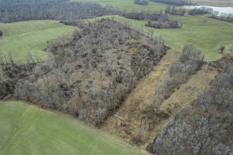 0 County Road 206/Highway 74, Cape Girardeau, Missouri 63701, ,Farm,For Sale,County Road 206/Highway 74,MAR25006058