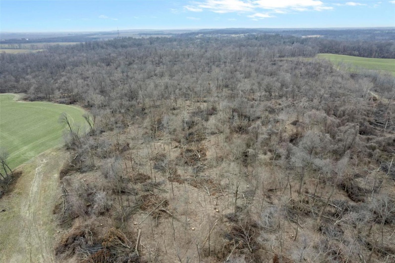0 County Road 206/Highway 74, Cape Girardeau, Missouri 63701, ,Farm,For Sale,County Road 206/Highway 74,MAR25006058