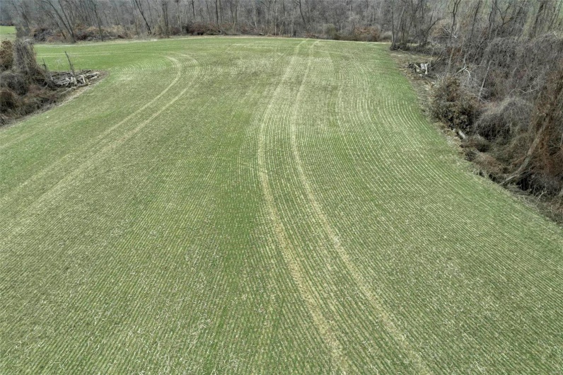 0 County Road 206/Highway 74, Cape Girardeau, Missouri 63701, ,Farm,For Sale,County Road 206/Highway 74,MAR25006058