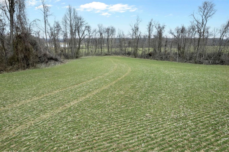 0 County Road 206/Highway 74, Cape Girardeau, Missouri 63701, ,Farm,For Sale,County Road 206/Highway 74,MAR25006058