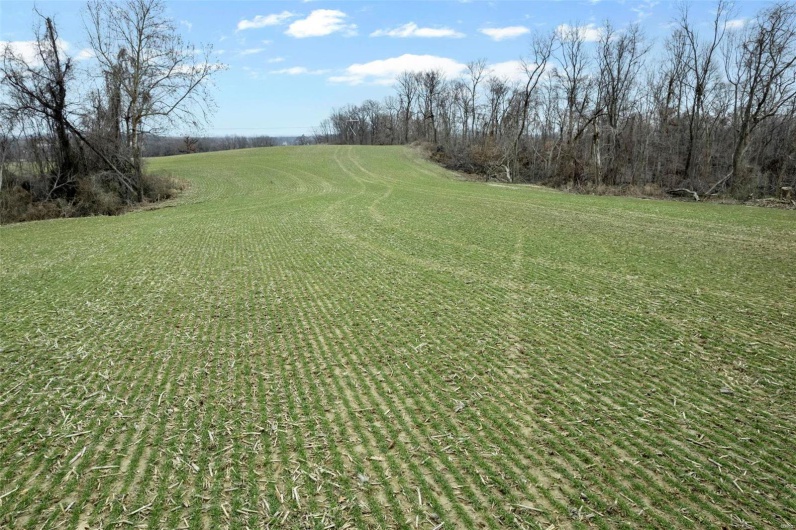 0 County Road 206/Highway 74, Cape Girardeau, Missouri 63701, ,Farm,For Sale,County Road 206/Highway 74,MAR25006058