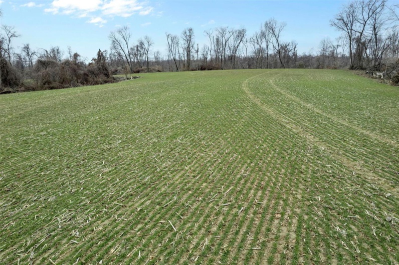 0 County Road 206/Highway 74, Cape Girardeau, Missouri 63701, ,Farm,For Sale,County Road 206/Highway 74,MAR25006058