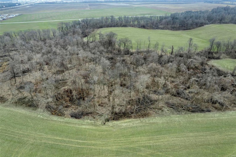 0 County Road 206/Highway 74, Cape Girardeau, Missouri 63701, ,Farm,For Sale,County Road 206/Highway 74,MAR25006058