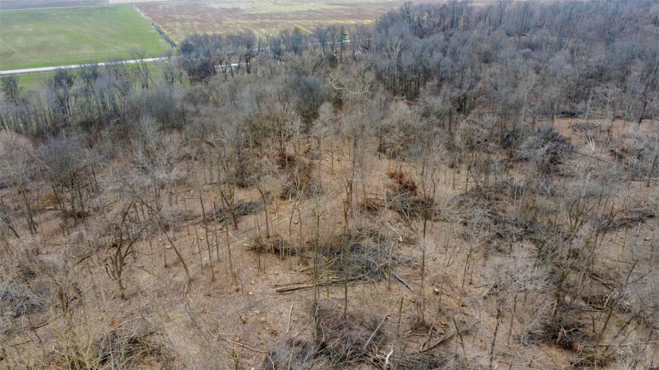 0 County Road 206/Highway 74, Cape Girardeau, Missouri 63701, ,Farm,For Sale,County Road 206/Highway 74,MAR25006058