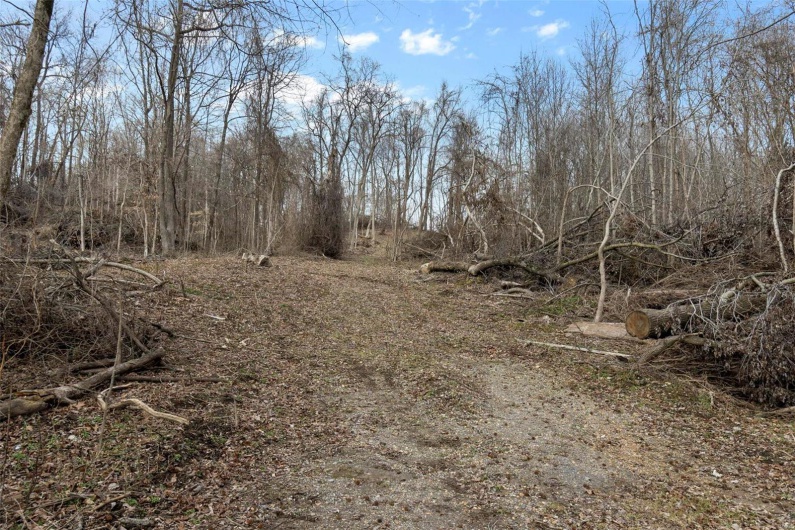 0 County Road 206/Highway 74, Cape Girardeau, Missouri 63701, ,Farm,For Sale,County Road 206/Highway 74,MAR25006058