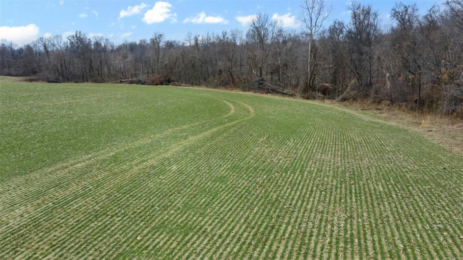 0 County Road 206/Highway 74, Cape Girardeau, Missouri 63701, ,Farm,For Sale,County Road 206/Highway 74,MAR25006058