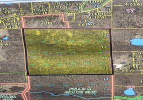 0 CR 526, Poplar Bluff, Missouri 63901, ,Farm,For Sale,CR 526,MAR24008766