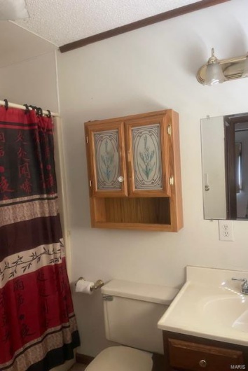 Bathroom with a shower with curtain, vanity, a textured ceiling, and toilet