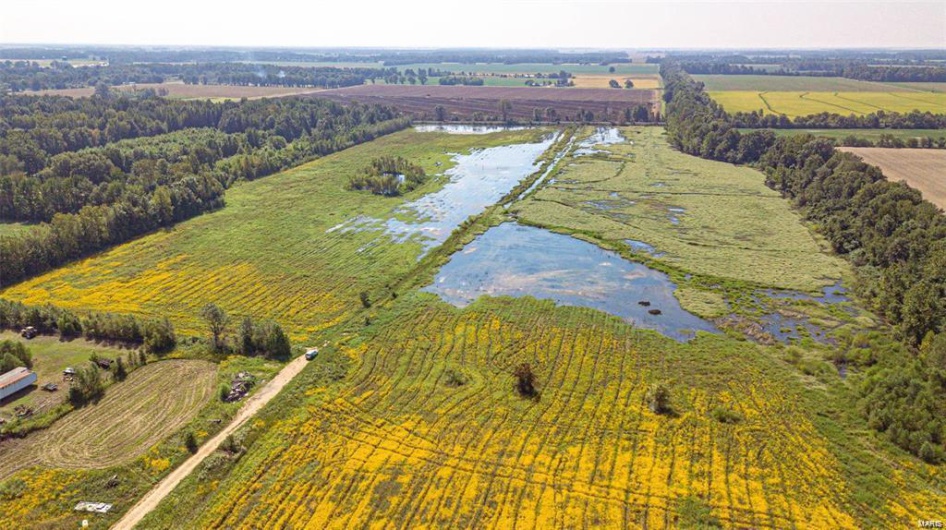 0 Highway B, Poplar Bluff, Missouri 63901, ,Farm,For Sale,Highway B,MAR24049647