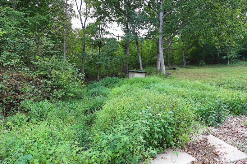 2099 Highway Jj, Ironton, Missouri 63650, 3 Bedrooms Bedrooms, 7 Rooms Rooms,1 BathroomBathrooms,Residential,For Sale,Highway Jj,MAR24056302