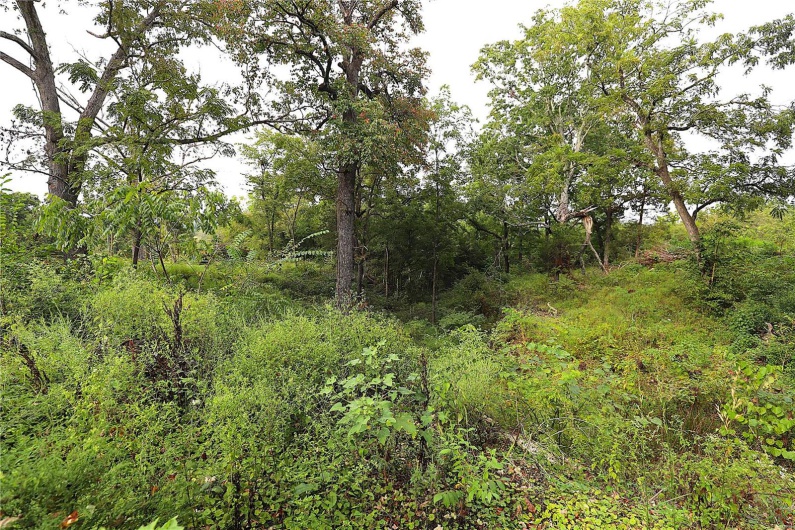 2099 Highway Jj, Ironton, Missouri 63650, 3 Bedrooms Bedrooms, 7 Rooms Rooms,1 BathroomBathrooms,Residential,For Sale,Highway Jj,MAR24056302