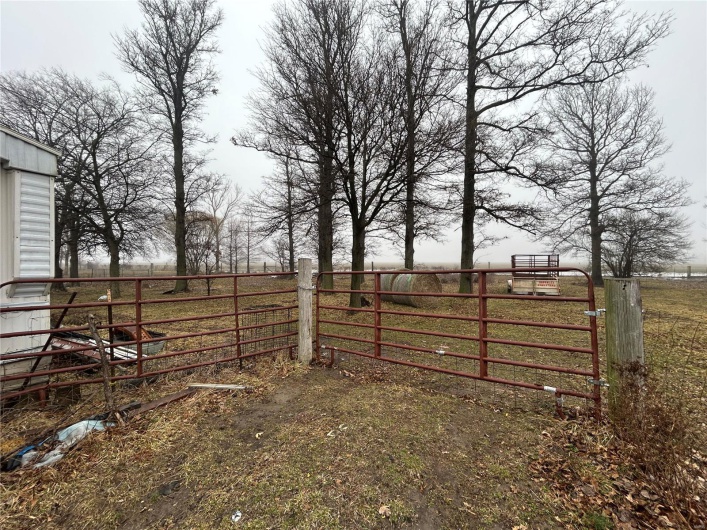 2977 221 cnty hwy, Bragg City, Missouri 63827, 2 Bedrooms Bedrooms, 5 Rooms Rooms,1 BathroomBathrooms,Residential,For Sale,221 cnty hwy,MAR25006362