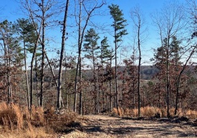 60 Madison CR 410, Fredericktown, Missouri 63645, ,Farm,For Sale,Madison CR 410,MAR24034595