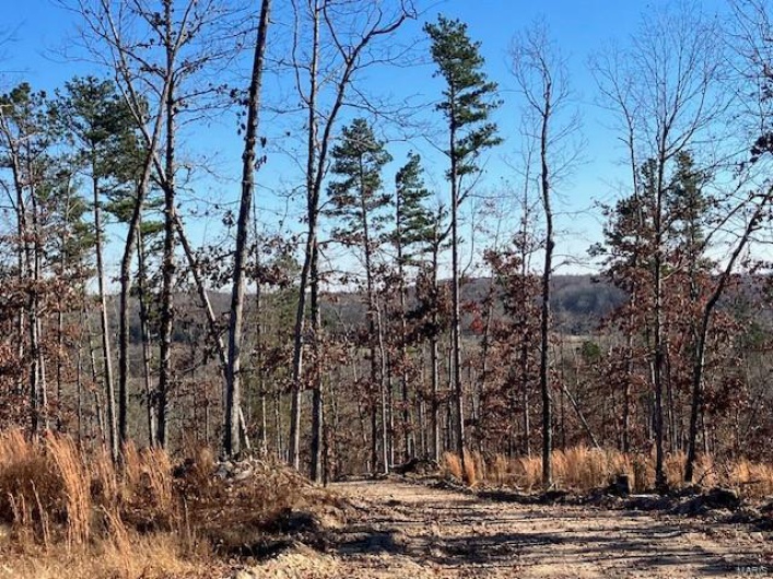 60 Madison CR 410, Fredericktown, Missouri 63645, ,Farm,For Sale,Madison CR 410,MAR24034595