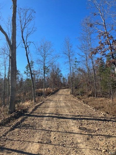 60 Madison CR 410, Fredericktown, Missouri 63645, ,Farm,For Sale,Madison CR 410,MAR24034595