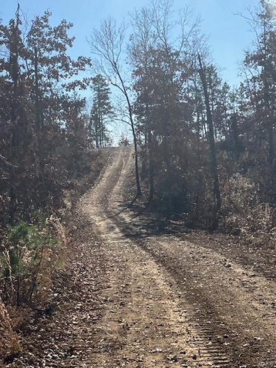 60 Madison CR 410, Fredericktown, Missouri 63645, ,Farm,For Sale,Madison CR 410,MAR24034595