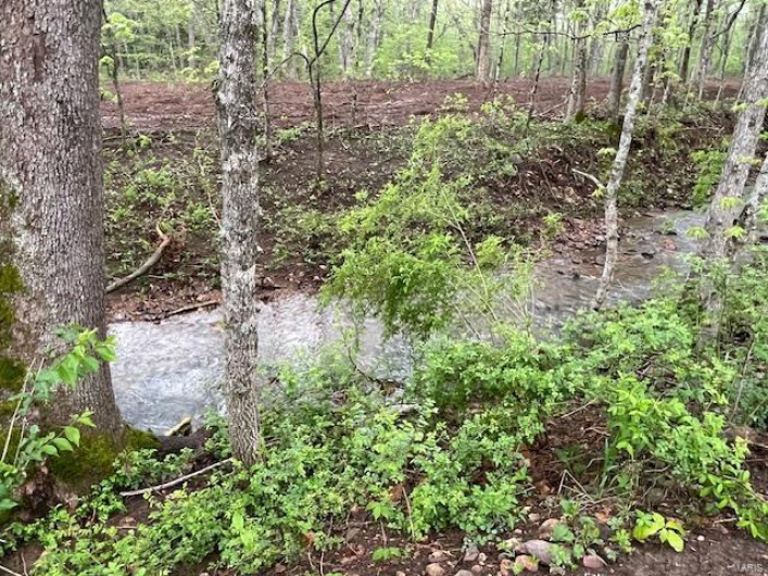 View of local wilderness