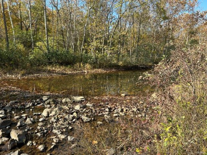 View of local wilderness featuring a water view