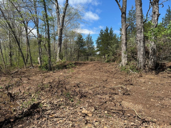 View of local wilderness