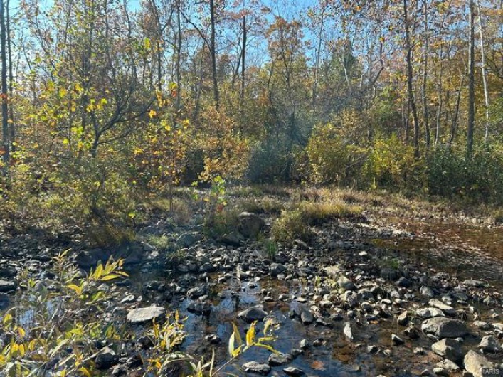 View of nature