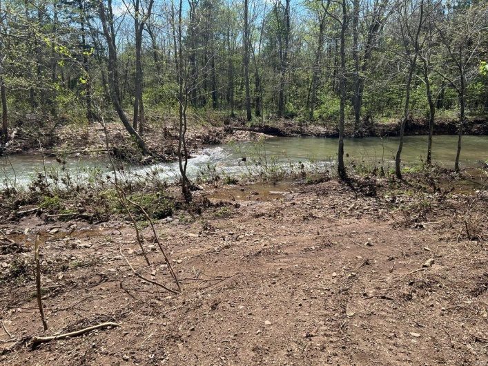 View of local wilderness
