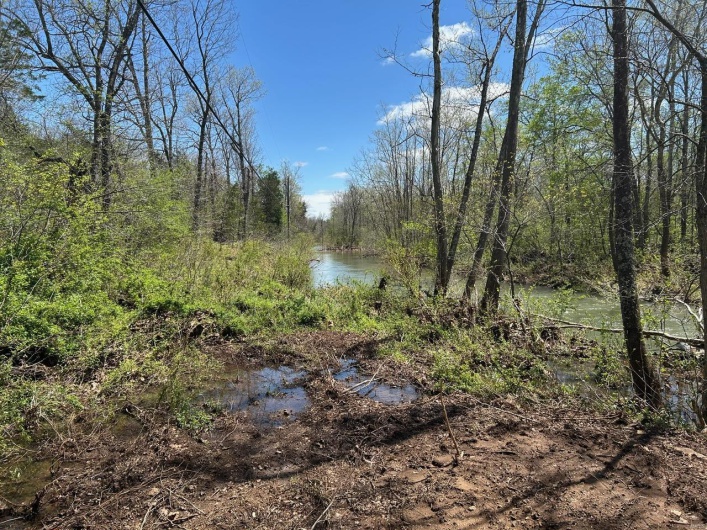 View of nature