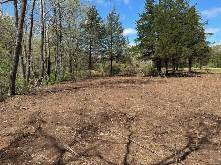 View of local wilderness