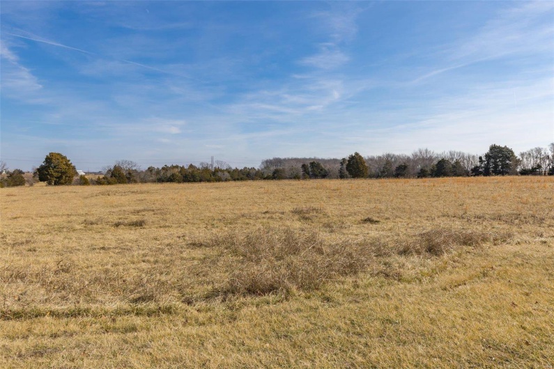 View of local wilderness with a rural view