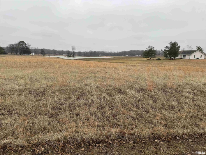 Lot 13 DOVE Lane, Eldorado, Illinois 62930, 0 , 0 ,0,Land,For Sale,DOVE,0,RMAEB456693