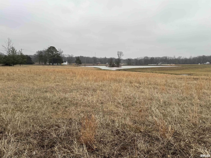 Lot 13 DOVE Lane, Eldorado, Illinois 62930, 0 , 0 ,0,Land,For Sale,DOVE,0,RMAEB456693