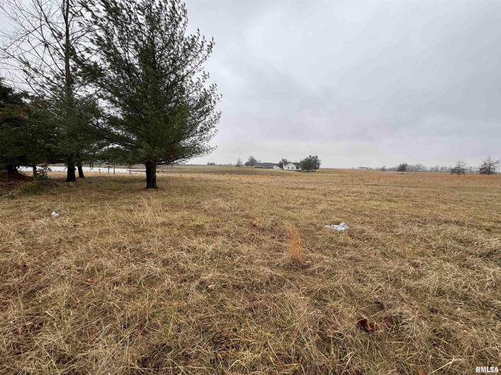 Lot 1&2 RALEIGH Road, Eldorado, Illinois 62930, 0 , 0 ,0,Land,For Sale,RALEIGH,0,RMAEB456696