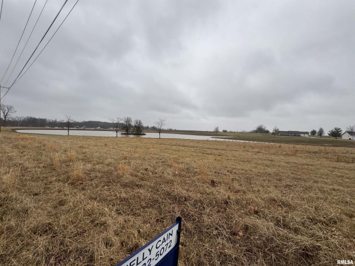 Lot 1&2 RALEIGH Road, Eldorado, Illinois 62930, 0 , 0 ,0,Land,For Sale,RALEIGH,0,RMAEB456696